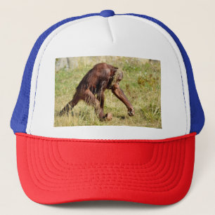 Young orangutan walking on grass  trucker hat