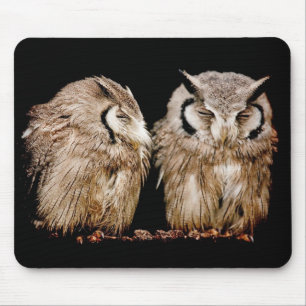 Young Owlets Mouse Pad