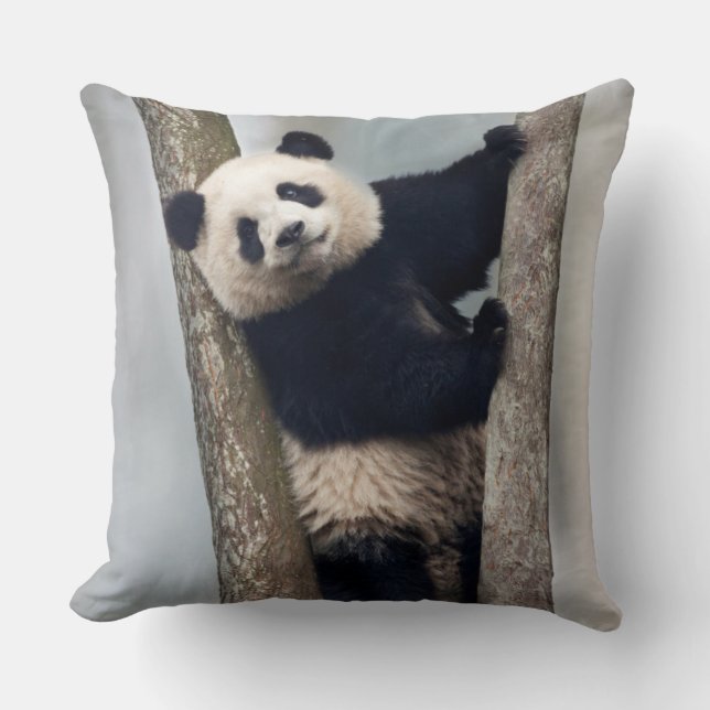 Young Panda climbing a tree, China Cushion (Front)