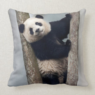 Young Panda climbing a tree, China Cushion