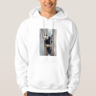 Young Panda climbing a tree, China Hoodie