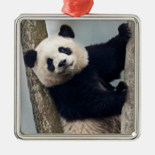Young Panda climbing a tree, China Metal Tree Decoration