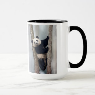 Young Panda climbing a tree, China Mug