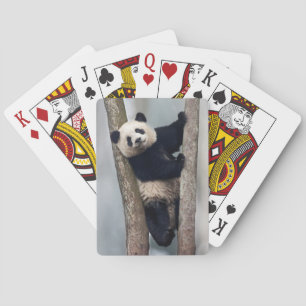 Young Panda climbing a tree, China Playing Cards