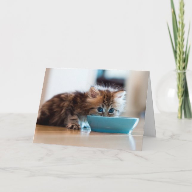 Young Persian Kitten Card (Front)
