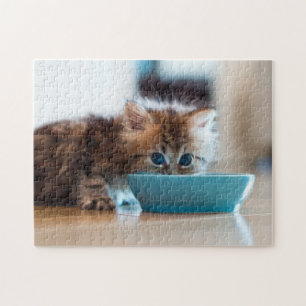 Young Persian Kitten Jigsaw Puzzle