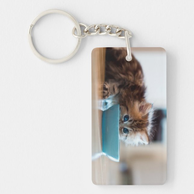 Young Persian Kitten Key Ring (Front)