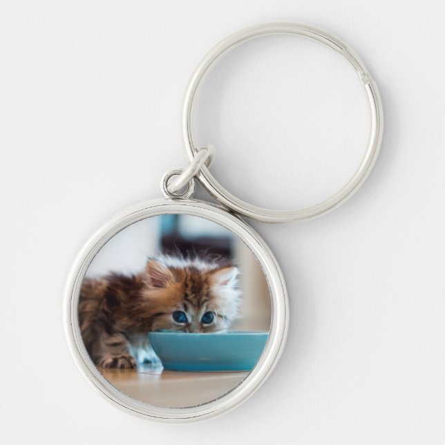 Young Persian Kitten Key Ring (Front)