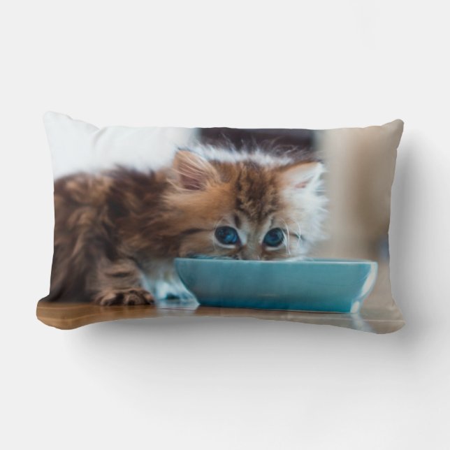 Young Persian Kitten Lumbar Cushion (Front)