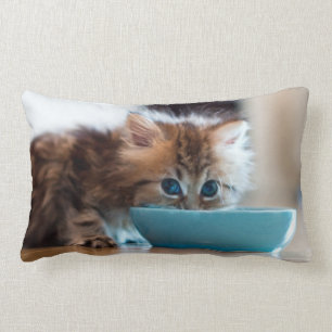Young Persian Kitten Lumbar Cushion