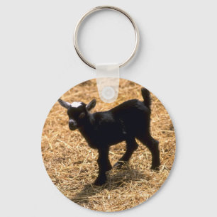 Young Pigmy Goat Key Ring
