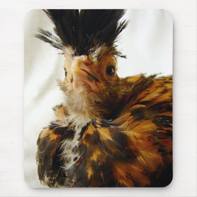 Young Polish Mouse Pad (Front)