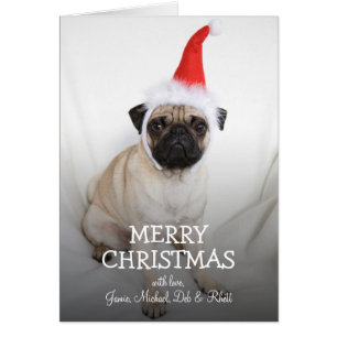 Young pug wearing Santa hat