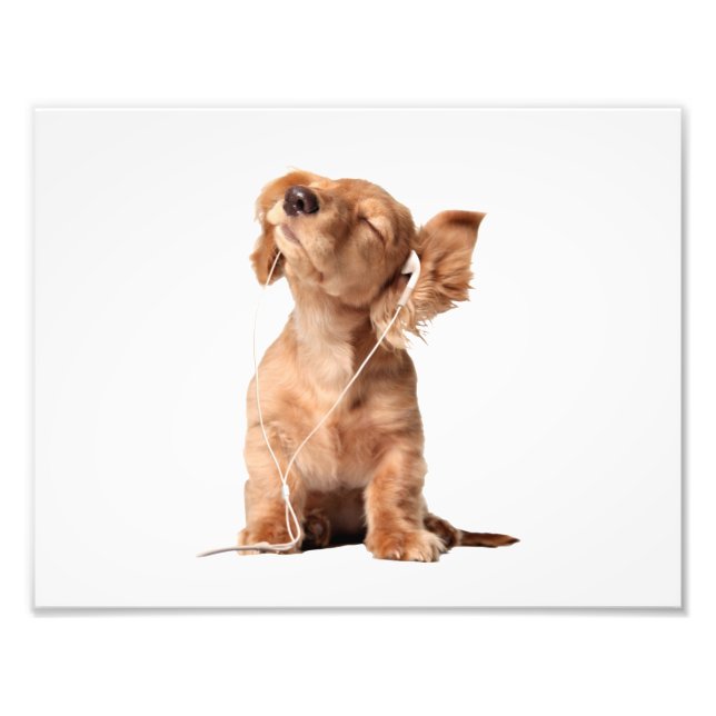 Young Puppy Listening to Music on Headphones Photo Print (Front)