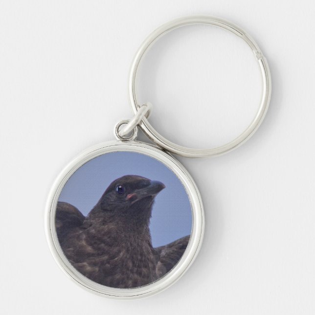 Young Raven on Quesnel Bridge w Sky Key Ring (Front)