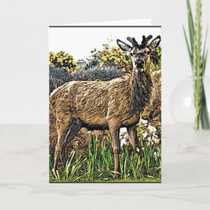 Young Red Deer Greeting Card