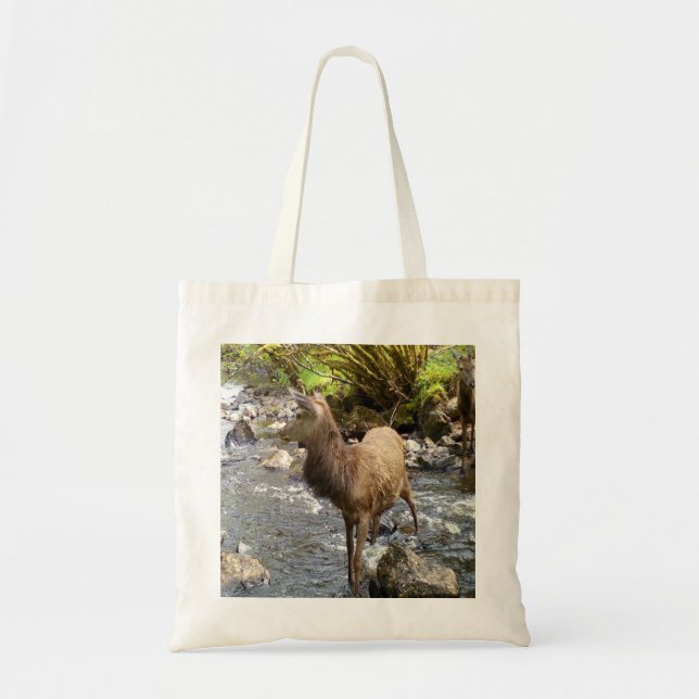 Young Red Deer Standing by River Wildlife Nature  Tote Bag (Front)