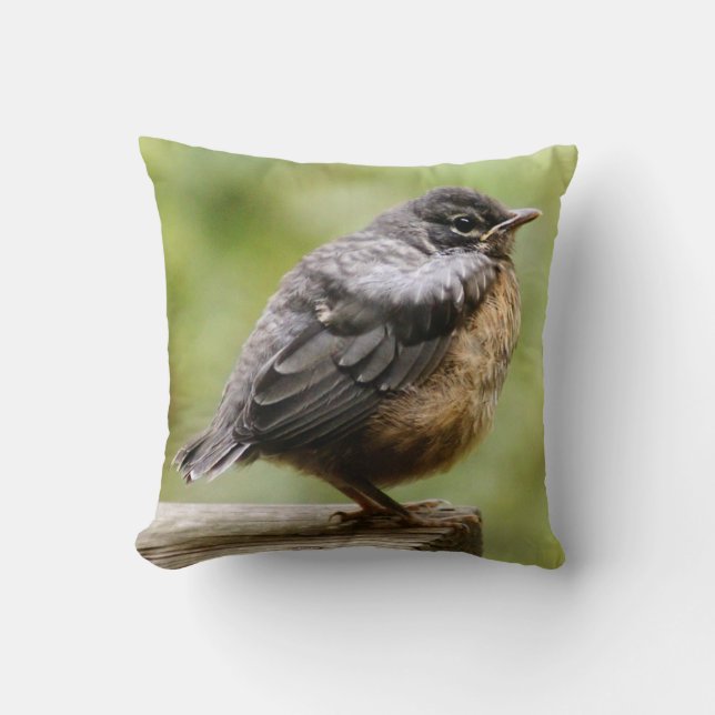 Young Robin Cushion (Front)