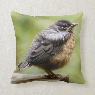 Young Robin Cushion