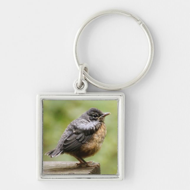 Young Robin Key Ring (Front)