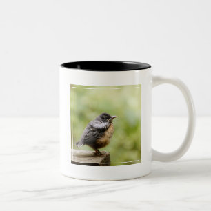 Young Robin Two-Tone Coffee Mug