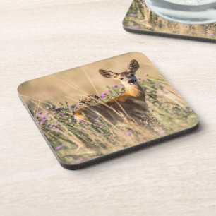 Young Roe Deer in Meadow Coaster