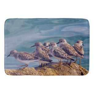 Young Ruddy Turnstones Bath Mat