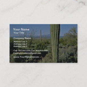 Young Saguaro Cacti, Flowering Ocotillo flowers Business Card
