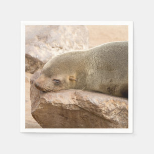 Young sea lion napkin