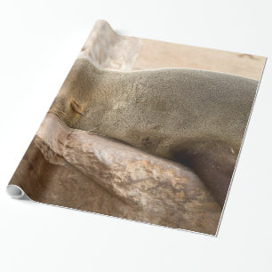 Young sea lion wrapping paper