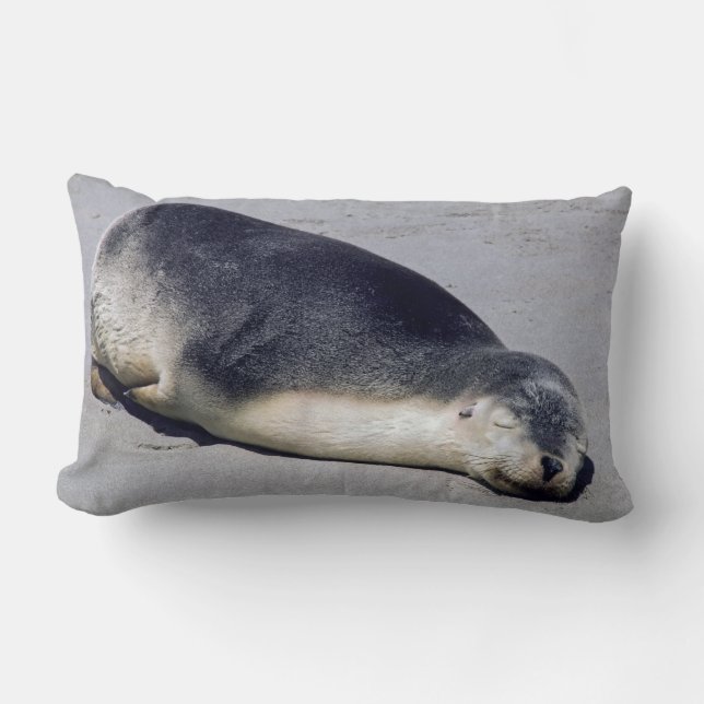 Young seal sleeping on a beach - Australia Lumbar Cushion (Front)