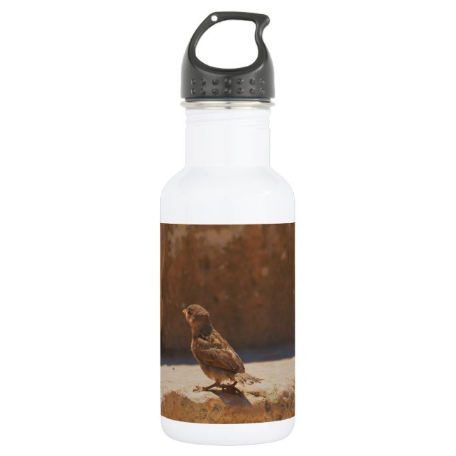 Young Sparrow 532 Ml Water Bottle (Front)