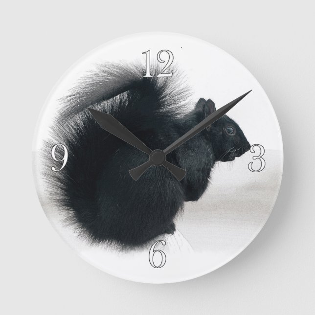 Young Squirrel in Winter Photo Round Clock (Front)