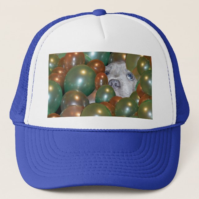Young Staffy Hiding In Balloons, Hat (Front)