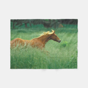 Young Stallion Runs Through Meadow Fleece Blanket
