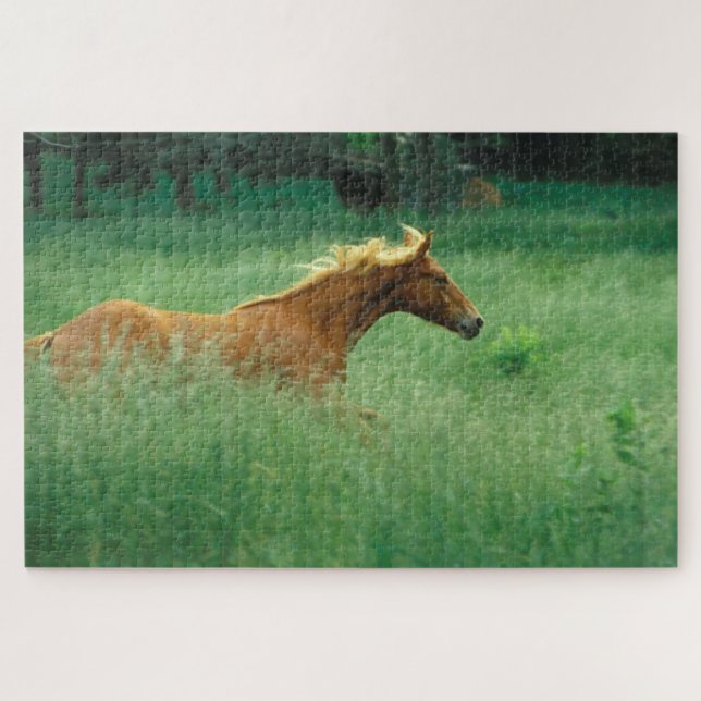 Young Stallion Runs Through Meadow Jigsaw Puzzle (Horizontal)