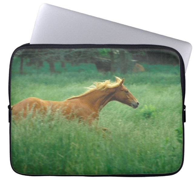 Young Stallion Runs Through Meadow Laptop Sleeve (Front)