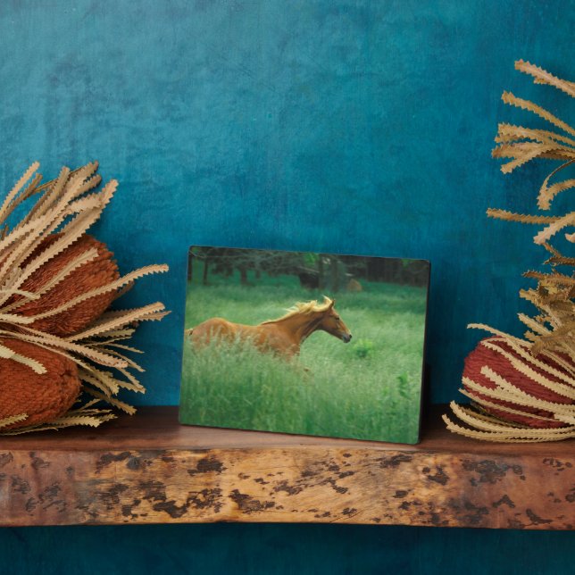 Young Stallion Runs Through Meadow Plaque (Side)