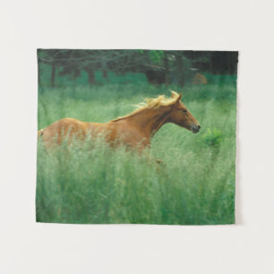 Young Stallion Runs Through Meadow Tapestry