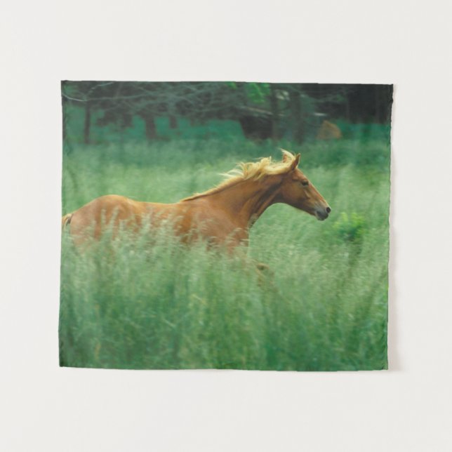 Young Stallion Runs Through Meadow Tapestry (Front (Horizontal))
