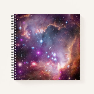 Young Stars In The Small Magellanic Cloud. Notebook