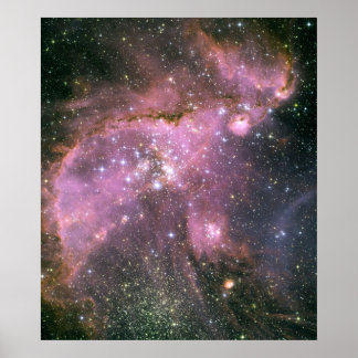 Young Stars Sculpt Gas with Powerful Outflows Poster