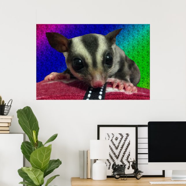 Young Sugar Glider Poster (Home Office)