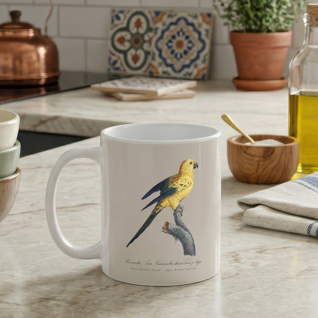 Young Sun Parakeet or Conure Aratinga solstitialis Coffee Mug (Guarouba dans sons jeune age / Sun parakeet. Coffee Mug)