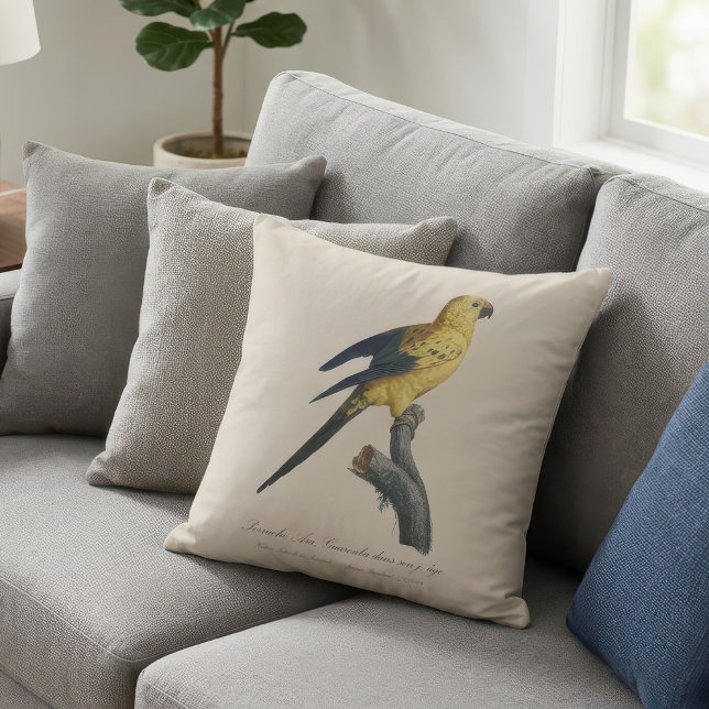 Young Sun Parakeet or Conure Aratinga solstitialis Cushion (Guarouba dans sons jeune age / Sun parakeet. Throw Pillow)