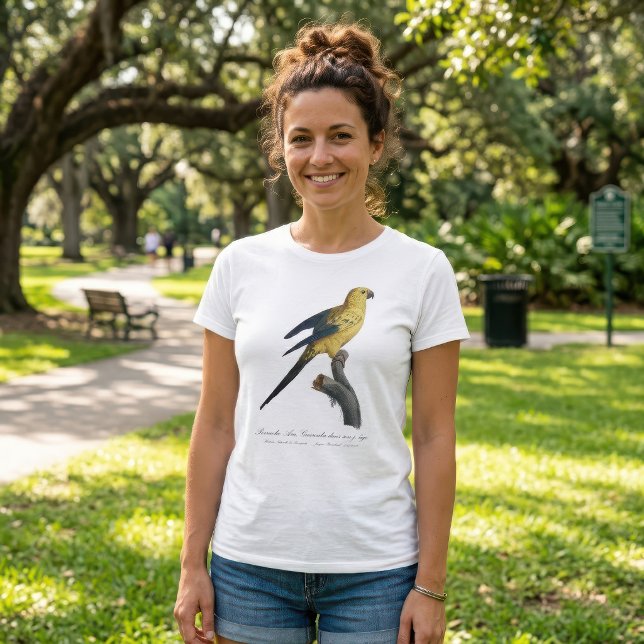 Young Sun Parakeet or Conure Aratinga solstitialis T-Shirt (Guarouba dans sons jeune age / Sun parakeet. Women Basic White T-Shirt)