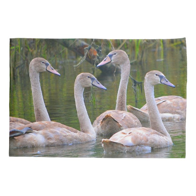 Young Swans Pillowcase (Back)
