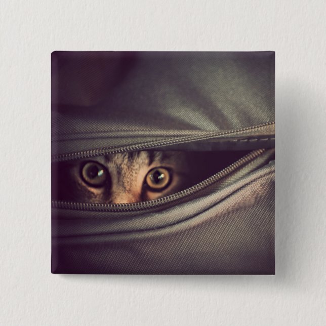 Young Tabby Kitten 15 Cm Square Badge (Front)