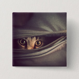 Young Tabby Kitten 15 Cm Square Badge