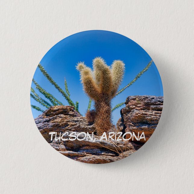 Young Teddy Bear Cholla Cactus, Tucson 6 Cm Round Badge (Front)